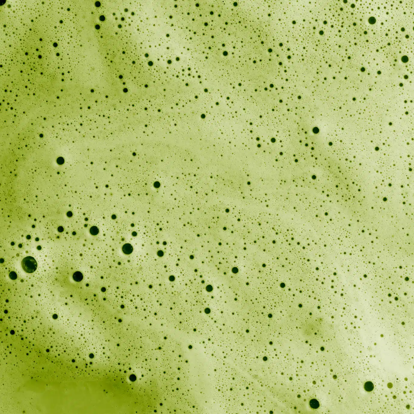 Matcha Latte 100g - Nümorning – Image 4